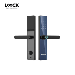 LOOCK Blue Gem A12