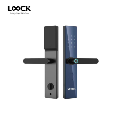 15 LOOCK A12 - Blue Gem Series Smartlock