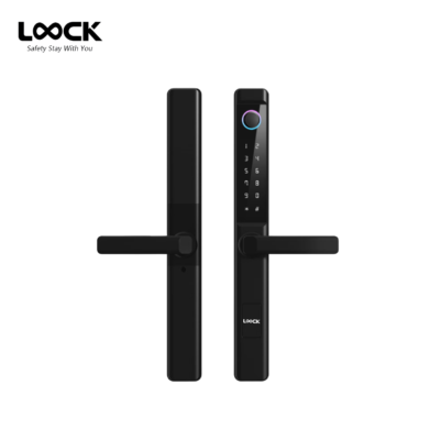 LOOCK G06A Swing Aluminum Glass Door Smartlock