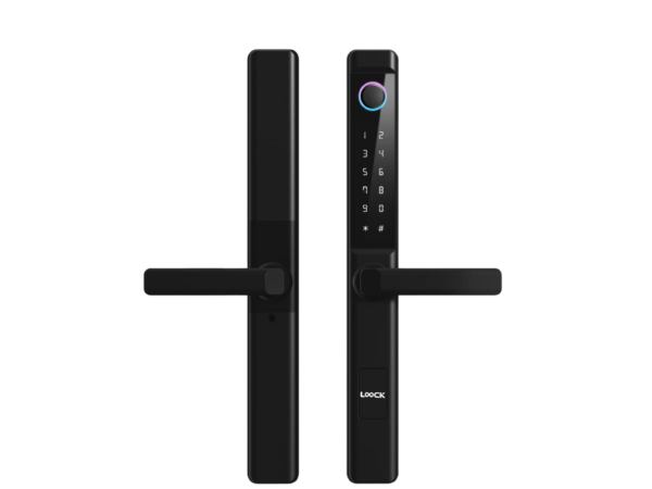 LOOCK G06A Swing Aluminum Glass Door Smartlock