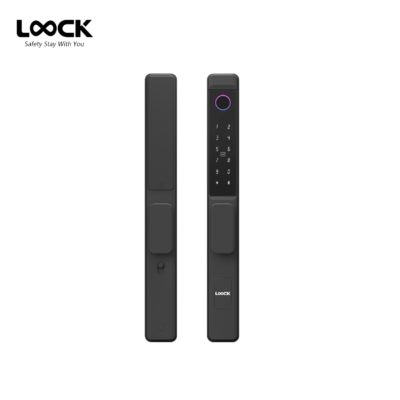 LOOCK G06B Swing Aluminum Glass Door Smartlock