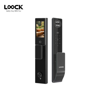 LOOCK F04 - Palm Vein Recognition Smartlock