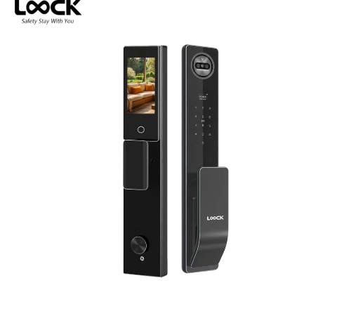 LOOCK F04 - Palm Vein Recognition Smartlock