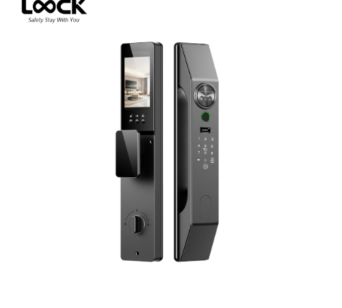 LOOCK F20 3D Facial Recognition