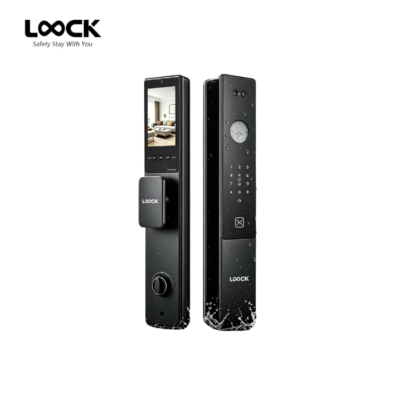 LOOCK F07 Luxury Smart Lock